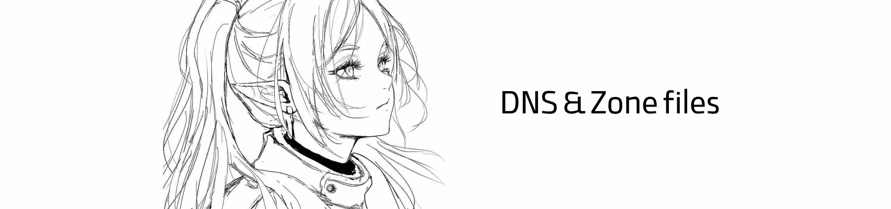 من از DNS چه میدانم؟